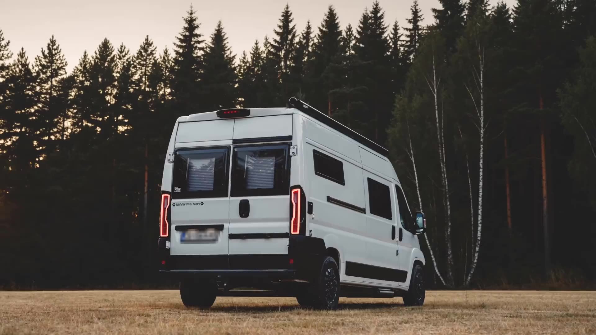 The GORA van from the rear in a meadow at the edge of the forest, dusk